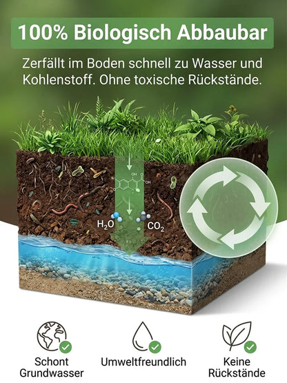 🔥Jeweils 9,99 $ – Nur heute im Angebot💛Leuchtende Boston-Farne mit Licht – 🌿 Kein Gießen, keinerlei Pflege