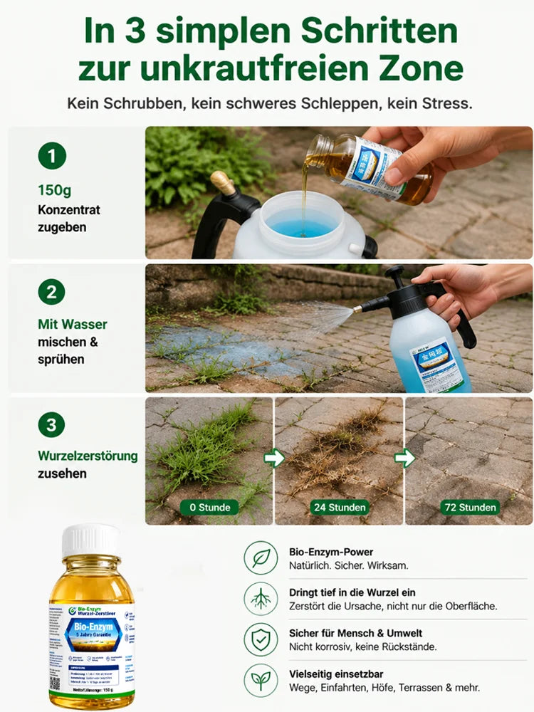 🔥Jeweils 9,99 $ – Nur heute im Angebot💛Leuchtende Boston-Farne mit Licht – 🌿 Kein Gießen, keinerlei Pflege
