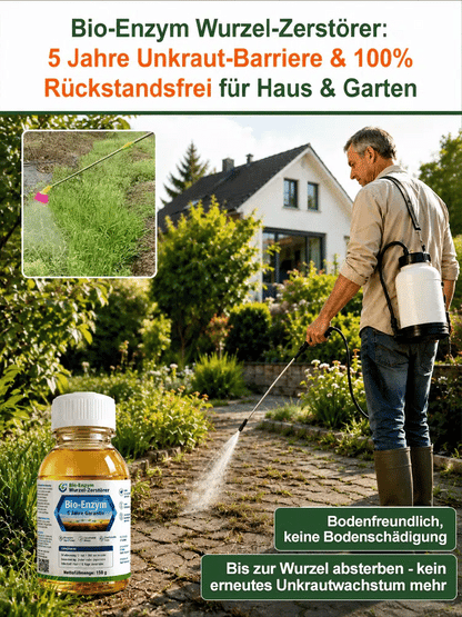 🔥Jeweils 9,99 $ – Nur heute im Angebot💛Leuchtende Boston-Farne mit Licht – 🌿 Kein Gießen, keinerlei Pflege