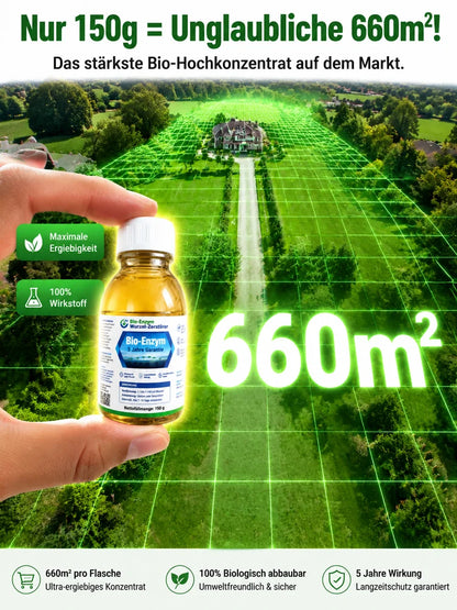 🔥Jeweils 9,99 $ – Nur heute im Angebot💛Leuchtende Boston-Farne mit Licht – 🌿 Kein Gießen, keinerlei Pflege