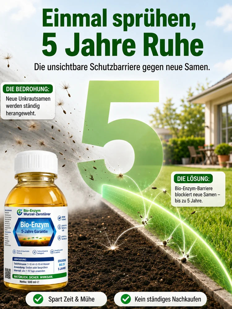 🔥Jeweils 9,99 $ – Nur heute im Angebot💛Leuchtende Boston-Farne mit Licht – 🌿 Kein Gießen, keinerlei Pflege
