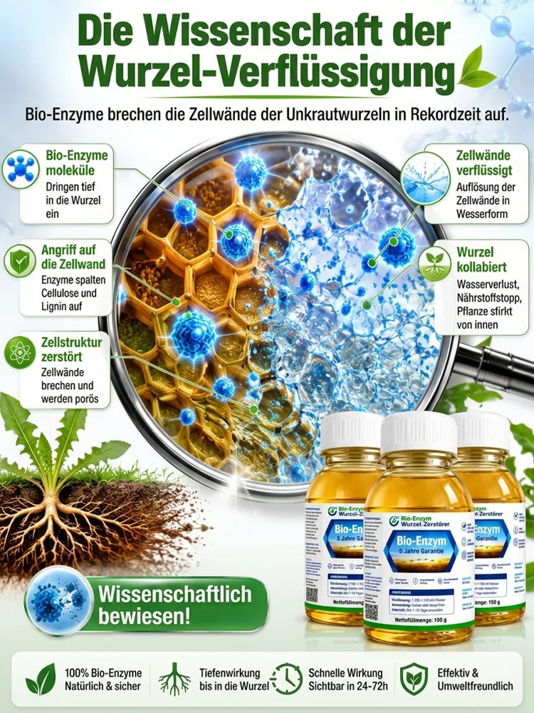 🔥Jeweils 9,99 $ – Nur heute im Angebot💛Leuchtende Boston-Farne mit Licht – 🌿 Kein Gießen, keinerlei Pflege