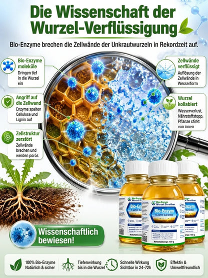 🔥Jeweils 9,99 $ – Nur heute im Angebot💛Leuchtende Boston-Farne mit Licht – 🌿 Kein Gießen, keinerlei Pflege