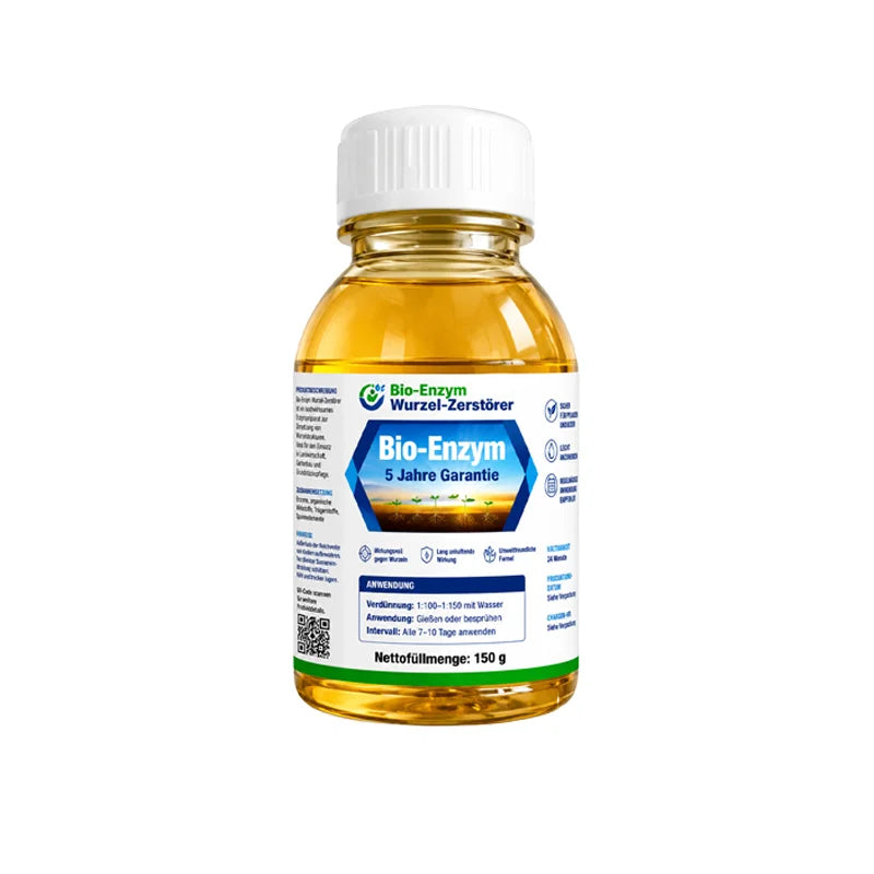 🔥Jeweils 9,99 $ – Nur heute im Angebot💛Leuchtende Boston-Farne mit Licht – 🌿 Kein Gießen, keinerlei Pflege