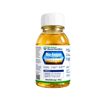 🔥Jeweils 9,99 $ – Nur heute im Angebot💛Leuchtende Boston-Farne mit Licht – 🌿 Kein Gießen, keinerlei Pflege