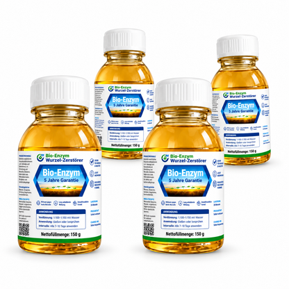 🔥Jeweils 9,99 $ – Nur heute im Angebot💛Leuchtende Boston-Farne mit Licht – 🌿 Kein Gießen, keinerlei Pflege
