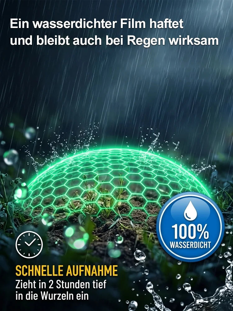 🔥Jeweils 9,99 $ – Nur heute im Angebot💛Leuchtende Boston-Farne mit Licht – 🌿 Kein Gießen, keinerlei Pflege
