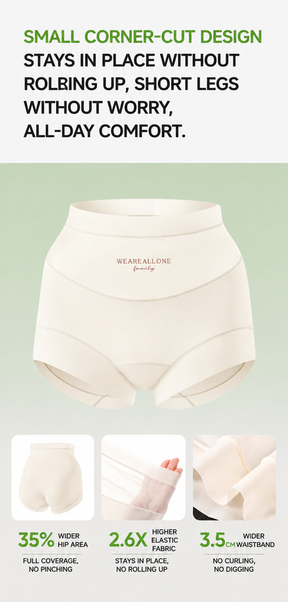 ❤️BUY 1 GET 2 FREE ❤️  High-waisted, plus-size (up to 130kg) women's briefs featuring silk fabric, antibacterial properties, an extended gusset, and a wedgie-proof design