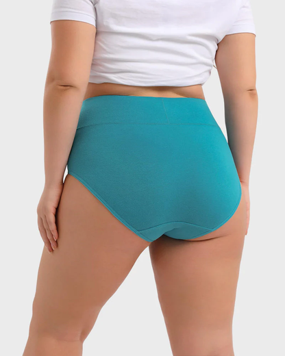 【⏰BUY 1 GET 2 FREE⏰】Women's Plus Size Cotton High Waisted Briefs